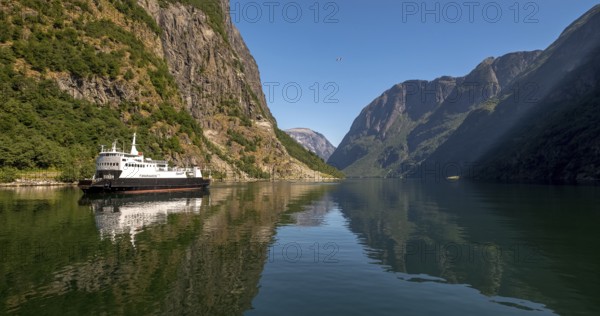 An approaching excursion boat on a beautiful fjord reflecting the light, surrounded by rocks partly overgrown with trees, above a bright blue sky. Gudvangen, Sogn og Fjordane, Norway, Scandinavia, Europe, Gudvangen, NOR, travel, tourism, destination, sightseeing, sea voyage, Hurtigruten, Hurtigruten trip, tourism, Norwegian, Scandinavian, tourist, cruise, adventure trip, mountains, tourist trip, boat trip, river, rocks, tourist ship, water, waters