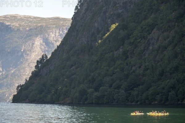 Tourists in yellow kayaks, fjord, Nærøyfjorden, rock face with forest, Styvi, Sogn og Fjordane, Norway, Scandinavia, Europe, NOR, travel, tourism, destination, sightseeing, sea voyage, Hurtigruten, Hurtigruten voyage, tourism, Norwegian, Scandinavian, tourist, cruise, adventure trip, waters, water, boat trip, boat tour, tourist tour, sea trip, sightseeing, hills, trees, forests, sky