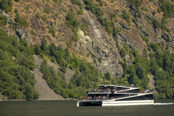 Catamaran, The Fjords, excursion boat, fjord, Nærøyfjorden, cliffs, trees, Styvi, Sogn og Fjordane, Norway, Scandinavia, Europe, NOR, travel, tourism, destination, sightseeing, sea voyage, Hurtigruten, Hurtigruten trip, tourism, Norwegian, Scandinavian, tourist, cruise, adventure trip, shipping, seafaring, waters, water, river, forest