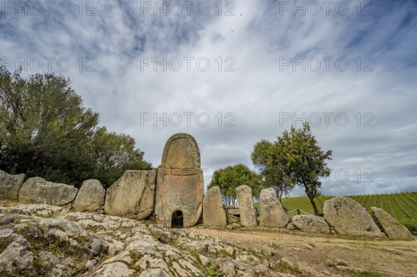 Sardinia, Nuraghic people, giant tomb Coddu Vecchiu, portal stele cult site, tomba dei giganti Coddu Ecchju, historical tomb made of large stones, cairn, Arzachena, Europe, Province of Sassari, Italy, archaeological site, burial site, Bonnanaro culture, monument, memorial, giant tomb, IT, megalithic sites, monument, nuragic culture, nuraghic, travel, destination, giant tomb, resting place, sight, sightseeing, tourism, tourist attraction, historical, tourist destination