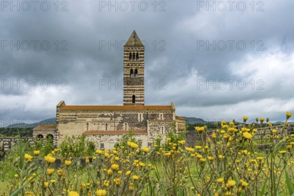 Sardinia, Santissima Trinitàdi Saccargia, Romanesque church, flower meadow, Codrongianos, Europe, Province of Sassari, Italy, abbey church, place of worship, chiesa, religious community, place of worship, holy site, IT, church, church community, denomination, travel, destination, religion, religious site, sightseeing, tourism, meadows and fields
