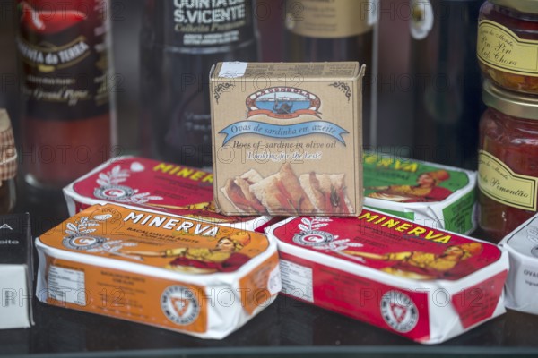 Classic sardine tins, Evora, Évora district, Portugal