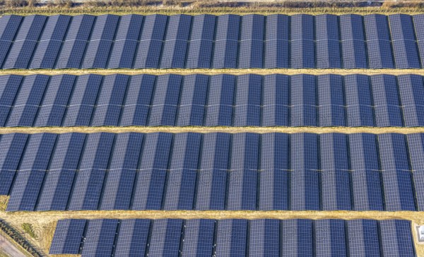 Aerial view, solar park, photovoltaic plant Sternweg, Hattrop, Soest, Soester Börde, North Rhine-Westphalia, Germany, DE, Europe, photovoltaic, aerial view, aerial photography, aerial photography, photovoltaic plant, solar, solar plant, solar roof, solar energy, solar panel, solar park, solar power plant, overview, bird's-eye view, overview