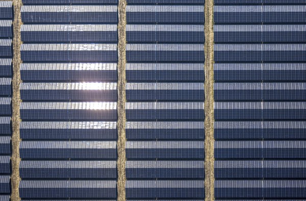 Aerial view, solar park, photovoltaic plant Sternweg, Hattrop, Soest, Soester Börde, North Rhine-Westphalia, Germany, DE, Europe, photovoltaic, aerial view, aerial photography, aerial photography, photovoltaic plant, solar, solar plant, solar roof, solar energy, solar panel, solar park, solar power plant, overview, bird's-eye view, overview