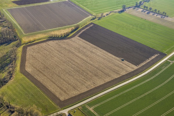 Aerial view, tractor and agricultural work on a field, paradise, Soest, Soester Börde, North Rhine-Westphalia, Germany, DE, Europe, aerial view, aerial photography, aerial photography, overview, bird's-eye view, overview
