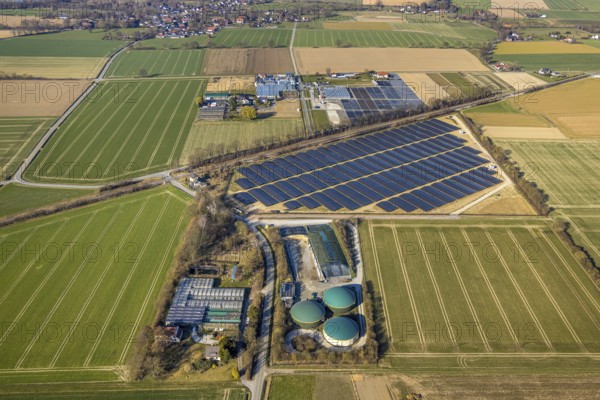 Aerial view, solar park photovoltaic plant Sternweg, grazing sheep, Hattrop, Soest, Soester Börde, North Rhine-Westphalia, Germany, DE, Europe, photovoltaic, aerial view, aerial photography, aerial photography, photovoltaic plant, solar, solar plant, solar roof, solar energy, solar panel, solar park, solar power plant, overview, bird's eye view, birds-eyes view, overview