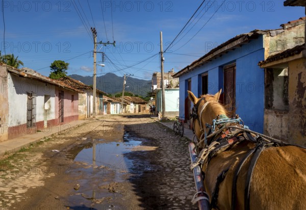 Street scene in Trinidadwith horseback and cobbled street with large puddle of rain, Trinidad, Cuba, Sancti Spíritus, Cuba, Sancti Spíritus