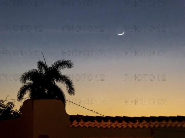 The new moon over Trinidad with palm trees, Trinidad, Cuba, Sancti Spíritus, Cuba