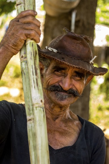 Sugar cane farmer in the Valle de los Ingenios with sugar cane stalks, Trinidad, Cuba, Sancti Spíritus, Cuba, Sancti Spíritus