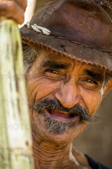 Sugar cane farmer in the Valle de los Ingenios with sugar cane stalks, Trinidad, Cuba, Sancti Spíritus, Cuba, Sancti Spíritus