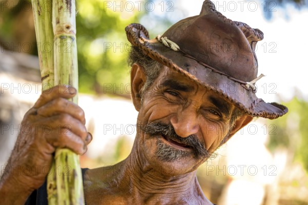 Sugar cane farmer in the Valle de los Ingenios with sugar cane stalks, Trinidad, Cuba, Sancti Spíritus, Cuba, Sancti Spíritus