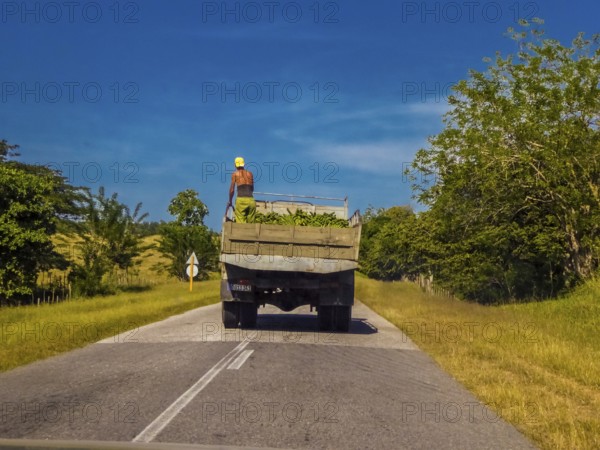 Street scene on the country roads of Yaguanabo with banana lorries, Yaguanabo, Cuba, Cienfuegos, Cuba