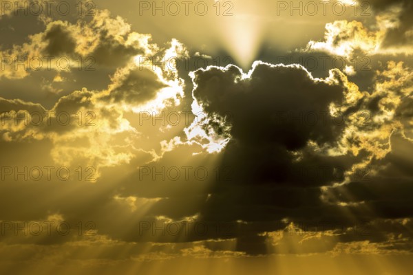 Cumulus clouds during sunset on the beach of Varadero, Varadero, Cuba, Matanzas, Cuba, Central America