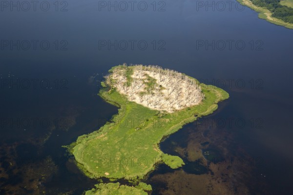 Gardzka KÄ™pa peninsula, PoÅ'chowo, Dusin, Baltic Sea coast, Województwo zachodniopomorskie, Poland, Województwo zachodniopomorskie, PL, Europe, aerial view, birds-eyes view, aerial photography, aerial photography, overview, bird's eye view, northern Poland