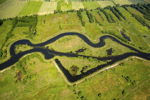 KamieÅ Pomorski, meandering river, Baltic Sea coast, Województwo zachodniopomorskie, Poland, Grabowo, Województwo zachodniopomorskie, PL, Europe, aerial view, birds-eyes view, aerial photography, aerial photography, overview, bird's eye view, northern Poland