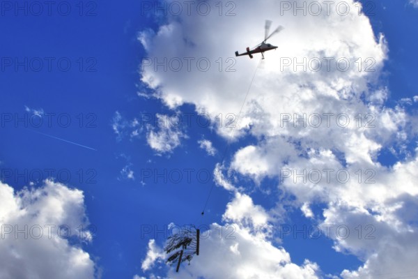 A helicopter transports a tree under a sunny, cloudy sky, transport helicopter, timber transport, Saas Grund, Canton Valais, Switzerland