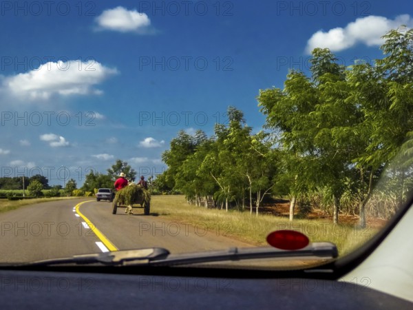 Street scene on the country roads of Yaguanabo with horse-drawn carriage, Yaguanabo, Cuba, Cienfuegos, Cuba