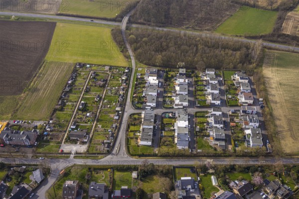 Aerial view, new housing estate between Spechtweg and Pfauenstraße, with Vogel street names, allotment garden association Zur Quelle Dolberg, Ahlen, Dolberg, Ruhr area, Germany, new building, housing estate, Spechtweg, Pfauenstraße, Vogel street names, allotment garden association, Zur Quelle Dolberg, bird's-eye view, architecture, construction, urban development, residential area, green areas, houses, streets, infrastructure, town, settlement, gardens, urban, development, landscape, German towns, housing, community, housing culture, urban development, new development area, development