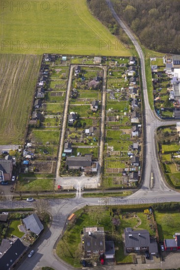 Aerial view, allotment garden association Zur Quelle Dolberg an der Lambertistraße, Ahlen, Dolberg, Ruhr area, Germany, allotment garden association, Zur Quelle Dolberg, Lambertistraße, allotment gardens, plots, green spaces, trees, vegetation, outskirts, organisation, community, nature, recreation, leisure, top view, urban planning, gardening, ecology, landscape, development, settlement, green area, cultural landscape, urban green, sustainability, outdoor, daylight, summer, sunshine