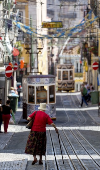 Elevador da Gloria funicular railway, link between the Baixa district and the higher Chiado district, Lisbon, Lisbon district, Portugal