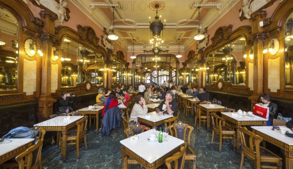 Café Majestic, art nouveau cafe, tavern, panorama, restaurant, Oporto, Porto district, Portugal, Europe, aerial view, birds-eyes view, travel, travel photography