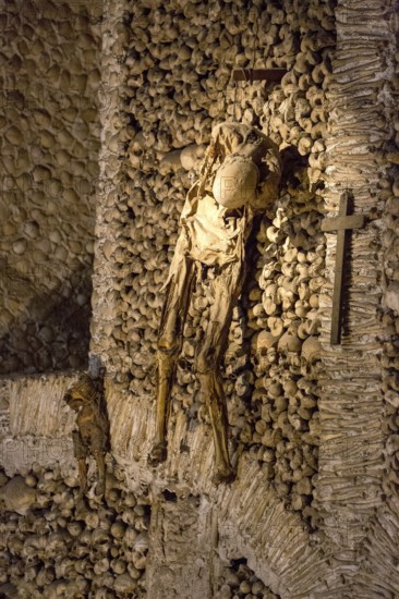 Piled bones in the ossuary, Capela dos ossos parede, chapel of bones, bone chapel, ossuary in Évora, Evora, district of Évora, Portugal