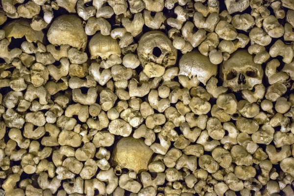 Piled bones in the ossuary, Capela dos ossos parede, chapel of bones, bone chapel, ossuary in Évora, Evora, district of Évora, Portugal