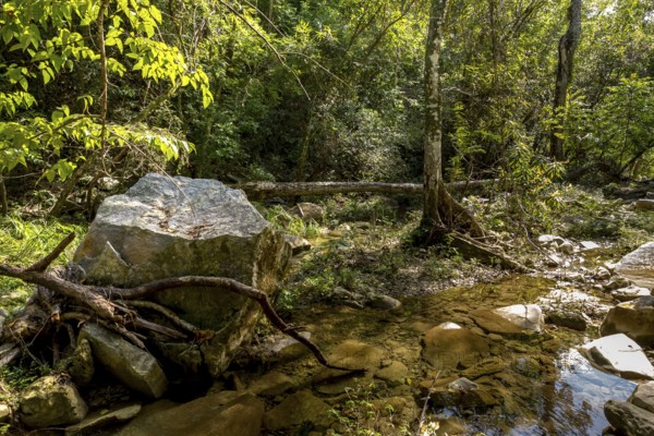 Wild stream in the Valle de los Ingenios, Trinidad, Cuba, Sancti Spíritus, Cuba, Villa Clara