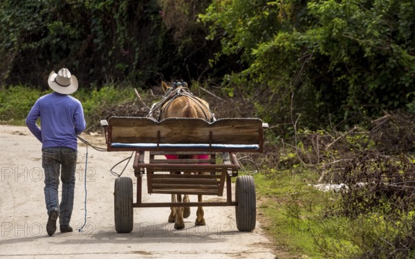 Cuban cowboy rider walking next to his one-horse cart, Valle de los Ingenios, Trinidad, Cuba, Sancti Spíritus, Cuba