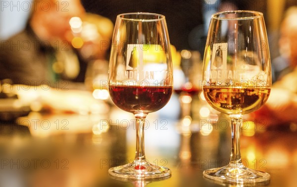 Wine tasting, white wine glass and red wine glass, wine cellar of the Sandemann winery in Gaia, Porto, Vila Nova de Gaia, Porto district, Portugal, Europe, aerial view, birds-eyes view, travel, travel photography