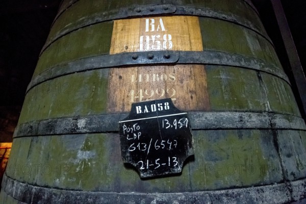 Port wine barrel, port wine barrels, wine cellar of the Sandemann winery in Gaia, Porto, Vila Nova de Gaia, Porto district, Portugal, Europe, aerial view, birds-eyes view, travel, travel photography