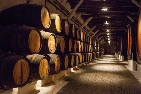Port wine barrels, wine cellar of the Sandemann winery in Gaia, Porto, Vila Nova de Gaia, Porto district, Portugal, Europe, aerial view, birds-eyes view, travel, travel photography