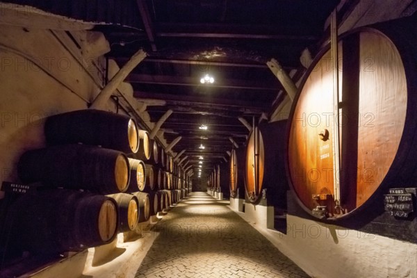 Port wine barrels, wine cellar of the Sandemann winery in Gaia, Porto, Vila Nova de Gaia, Porto district, Portugal, Europe, aerial view, birds-eyes view, travel, travel photography