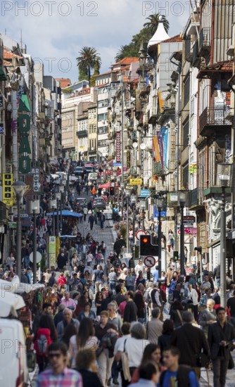 Shopping street Rua de Santa Catarina at Café Majestic, Oporto, Porto district, Portugal, Europe, aerial view, birds-eyes view, Travel, Travel Photography