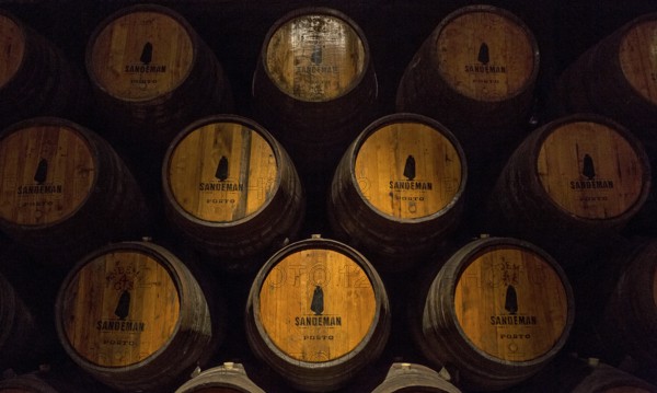 Port wine barrels, wine cellar of the Sandemann winery in Gaia, Porto, Vila Nova de Gaia, Porto district, Portugal, Europe, aerial view, birds-eyes view, travel, travel photography