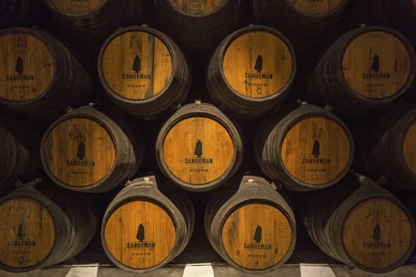 Port wine barrels, wine cellar of the Sandemann winery in Gaia, Porto, Vila Nova de Gaia, Porto district, Portugal, Europe, aerial view, birds-eyes view, travel, travel photography