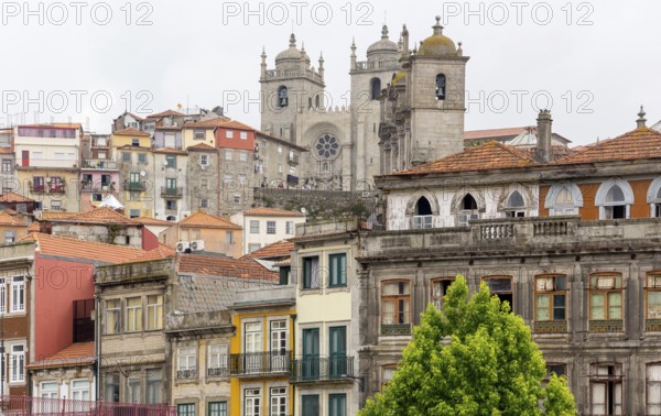 Da Sé Cathedral, Barredo Quarter, UNESCO World Heritage Site, Oporto, Porto District, Portugal, Europe, aerial view, birds-eyes view, Travel, Travel Photography