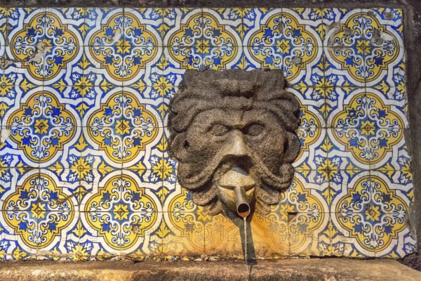 Fountain in the Sandemann cellar with historical tiles, gargoyles, azulejos, wine cellar of the Sandemann winery in Gaia, Porto, Vila Nova de Gaia, Porto district, Portugal, Europe, aerial view, birds-eyes view, Travel, Travel photography