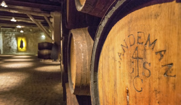 Port wine barrels, wine cellar of the Sandemann winery in Gaia, Porto, Vila Nova de Gaia, Porto district, Portugal, Europe, aerial view, birds-eyes view, travel, travel photography