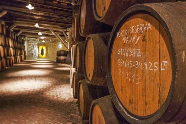 Vintage labelling, port wine barrels, wine cellar of the Sandemann winery in Gaia, Porto, Vila Nova de Gaia, Porto district, Portugal, Europe, aerial view, birds-eyes view, travel, travel photography