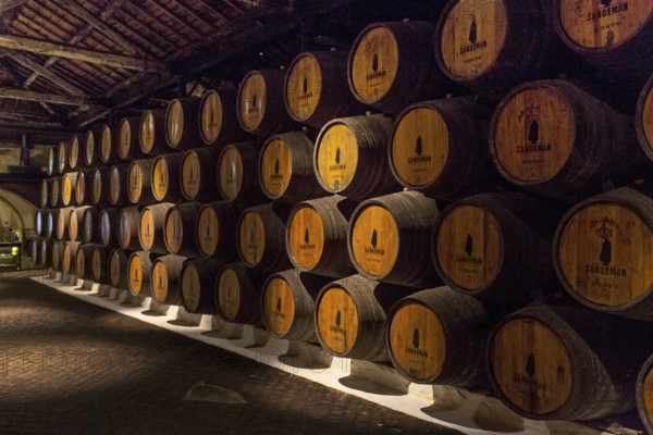 Port wine barrels, wine cellar of the Sandemann winery in Gaia, Porto, Vila Nova de Gaia, Porto district, Portugal, Europe, aerial view, birds-eyes view, travel, travel photography