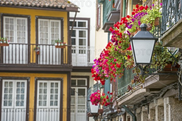 Hanging baskets on the balconies of the old town in Guimaraes, Guimaraes, Braga district, Portugal, Europe, aerial view, birds-eyes view, Travel, Travel photography