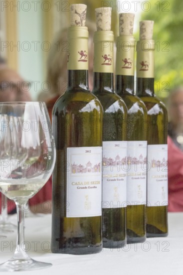 Wine tasting with the estate owner Jose, Casa de Sezim, Grande Escolha winery in the Minho region, the garden of Portugal, Nespereira, Braga district, Portugal, Europe, aerial view, birds-eyes view, Travel, travel photography