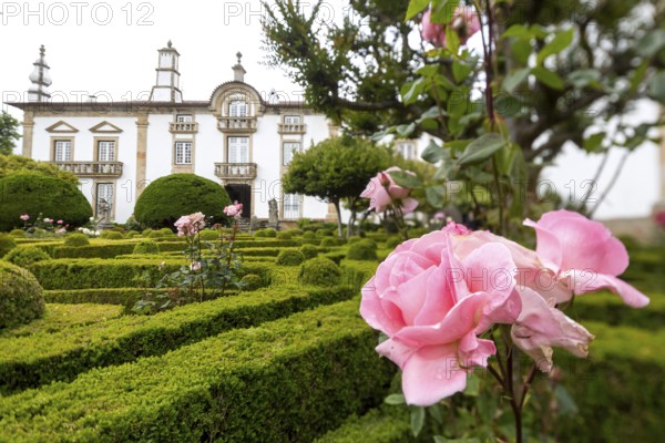 Spacious gardens of the palace, pink rose blossom, Casa de Mateus, palace with large gardens, Vila Real, Vila Real district, Portugal, Europe, BlosseyPortugal, aerial view, birds-eyes view, Travel, travel photography