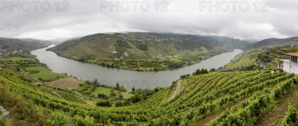 Central Douro wine region, river, Douro valley, vineyards, panorama, Santa Cristina, Vila Real district, Portugal, Europe, aerial view, birds-eyes view, travel, travel photography