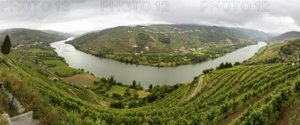 Central Douro wine region, river, Douro valley, vineyards, panorama, Santa Cristina, Vila Real district, Portugal, Europe, aerial view, birds-eyes view, travel, travel photography