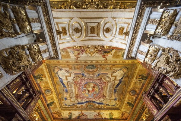 Biblioteca Joanina, historical university library, University of Coimbra, Coimbra, Coimbra district, Portugal, Europe, aerial view, birds-eyes view, Travel, travel photography