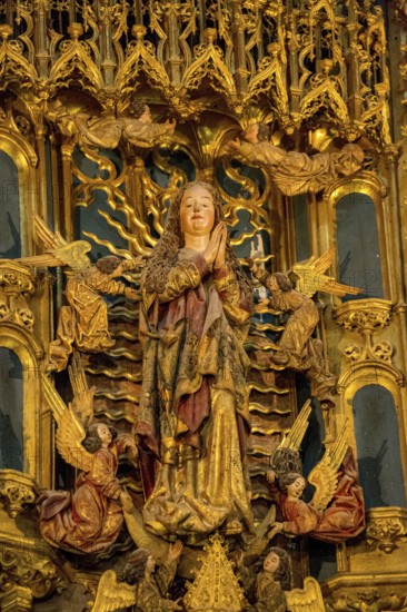 Altar, Old Cathedral (Sé Velha) in the historic centre of Coimbra, Coimbra, Coimbra district, Portugal, Europe, aerial view, birds-eyes view, Travel, Travel photography