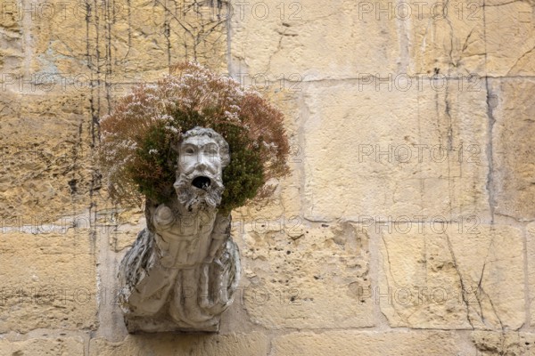 Gargoyle, Rain spout on the church facade Old Cathedral (Sé Velha), Old Town of Coimbra, Coimbra, Coimbra District, Portugal, Europe, aerial view, birds-eyes view, Travel, Travel Photography
