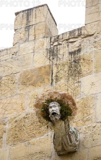 Gargoyle, Rain spout on the church facade Old Cathedral (Sé Velha), Old Town of Coimbra, Coimbra, Coimbra District, Portugal, Europe, aerial view, birds-eyes view, Travel, Travel Photography
